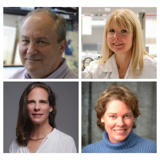 Michael Lichten, Ph.D.; Deborah K. Morrison, Ph.D.; Mary N. Carrington, Ph.D.; Susan M. Lea, D.Phil., F.Med.Sci.