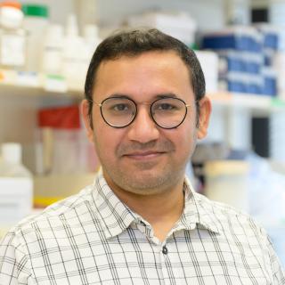 Dr. Imran Khan, Ph.D.