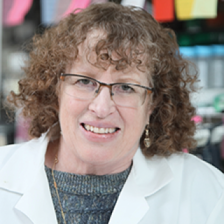 Mirit I. Aladjem, Ph.D.