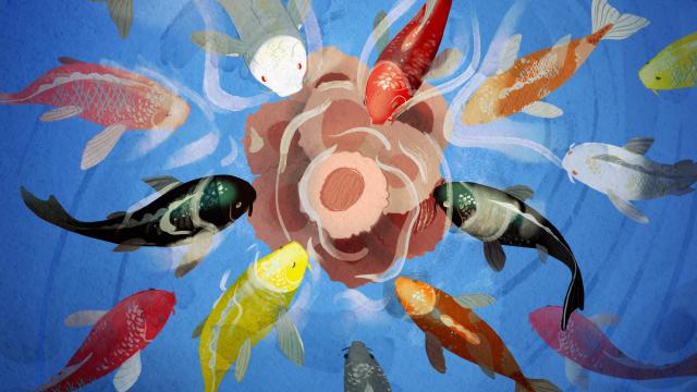 Fish representing TRuC T cells