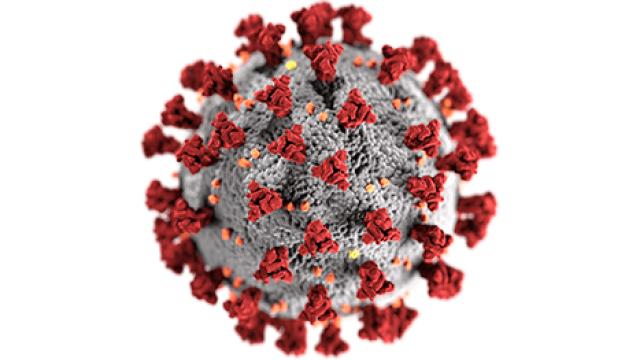 SARS-CoV-2