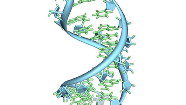 RNA
